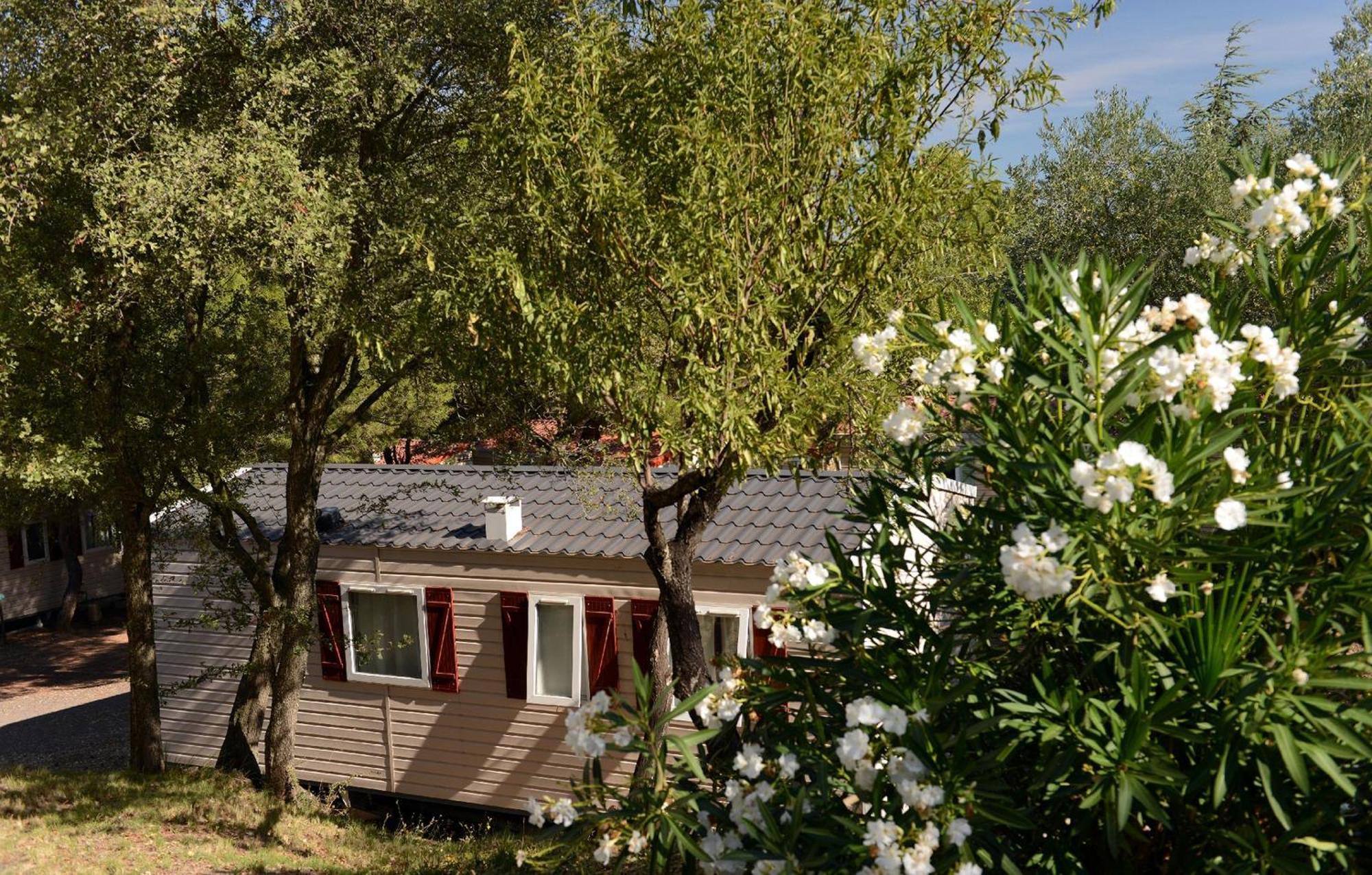 Domaine Residentiel De Plein Air Odalys La Pinede Agde Exteriér fotografie