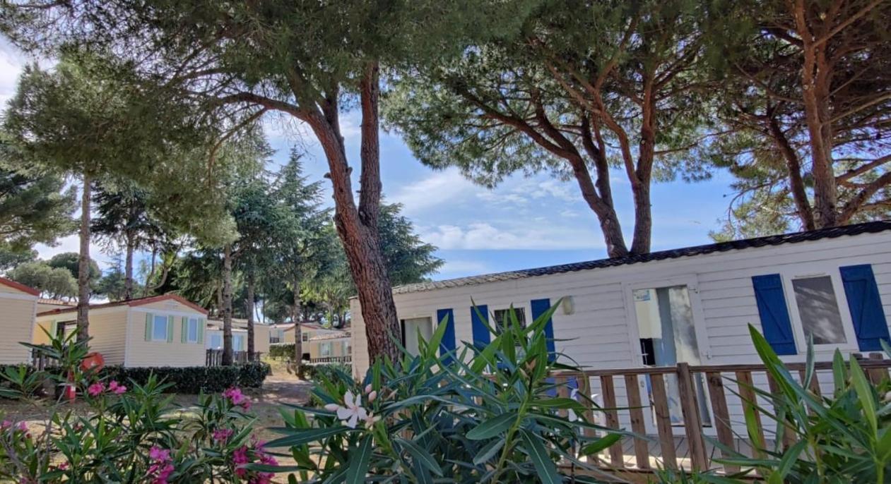 Domaine Residentiel De Plein Air Odalys La Pinede Agde Exteriér fotografie