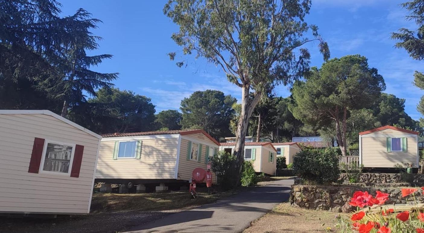 Domaine Residentiel De Plein Air Odalys La Pinede Agde Exteriér fotografie