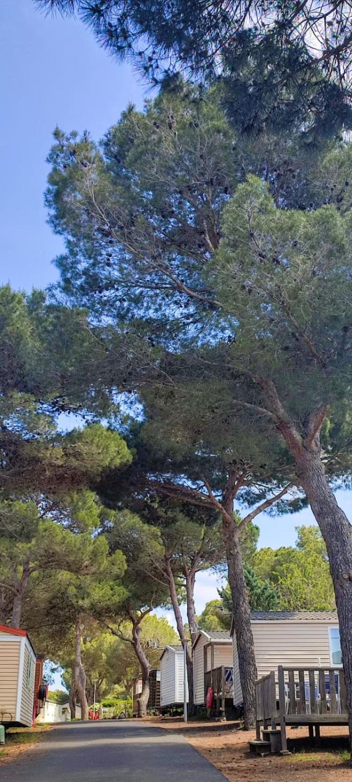 Domaine Residentiel De Plein Air Odalys La Pinede Agde Exteriér fotografie