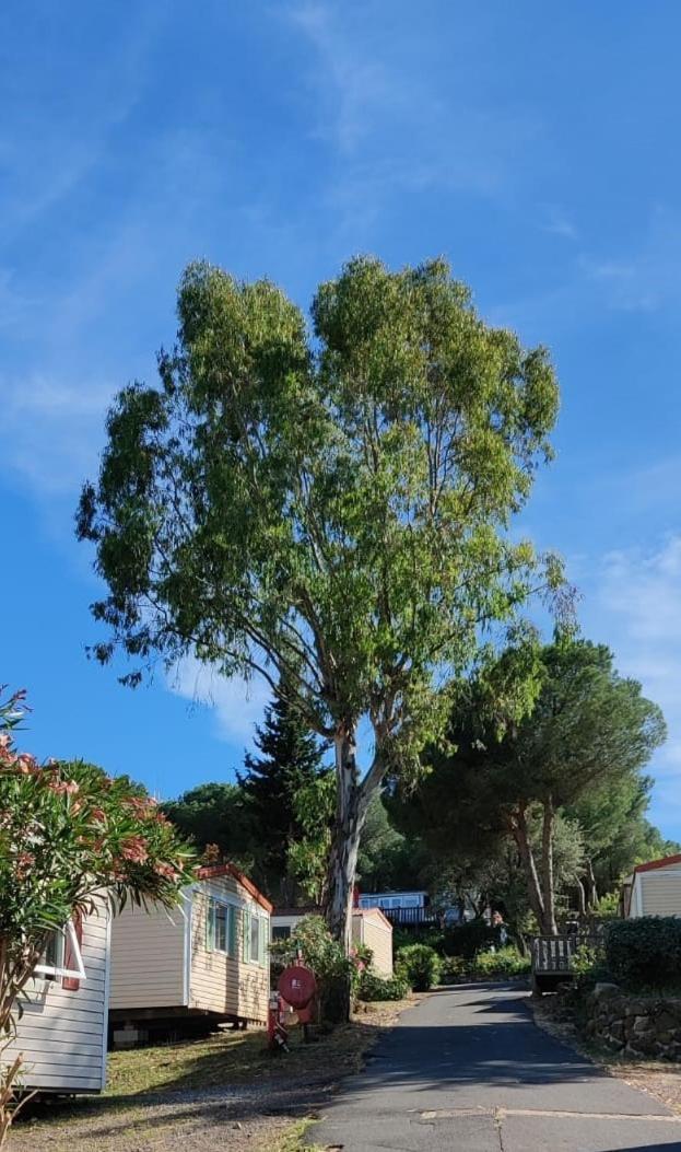 Domaine Residentiel De Plein Air Odalys La Pinede Agde Exteriér fotografie