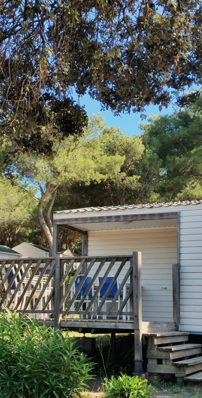 Domaine Residentiel De Plein Air Odalys La Pinede Agde Exteriér fotografie
