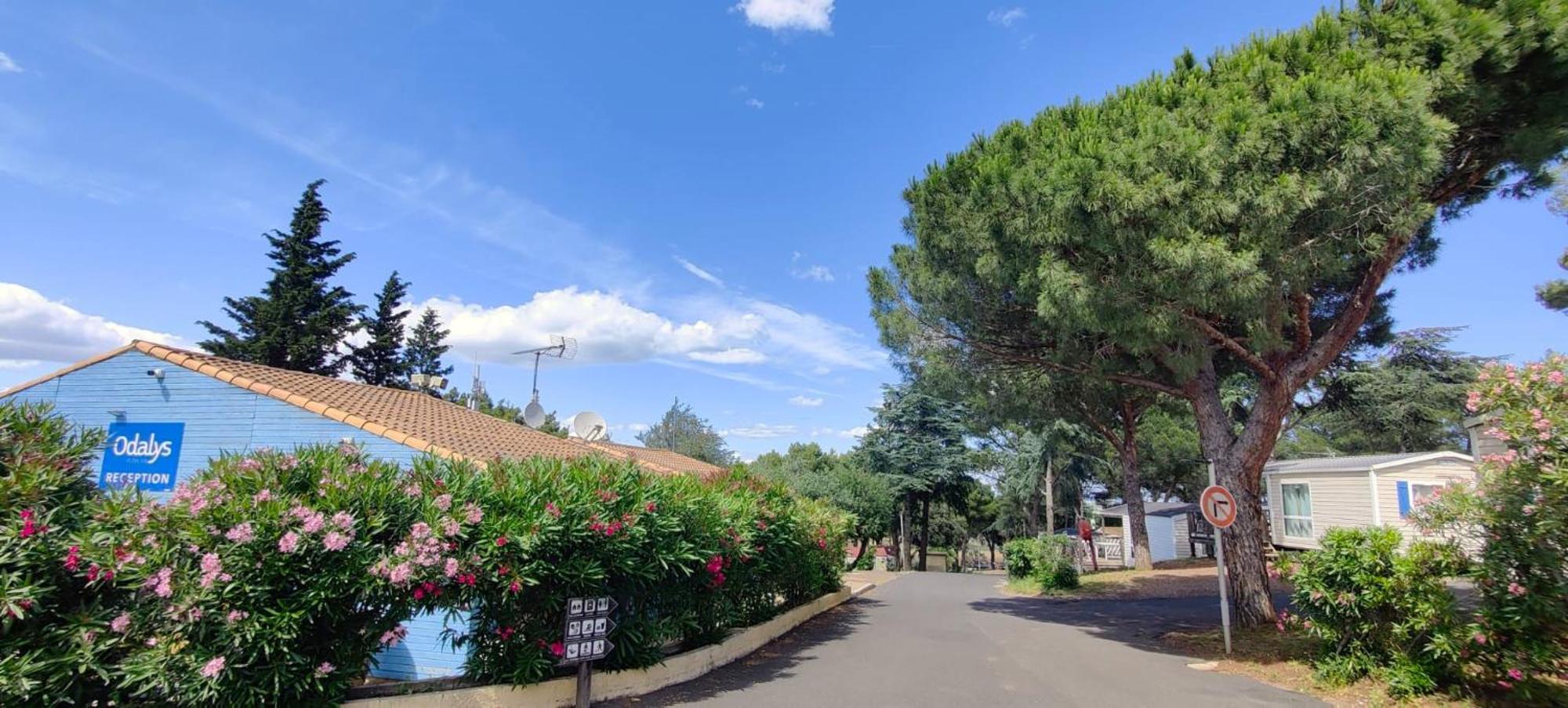 Domaine Residentiel De Plein Air Odalys La Pinede Agde Exteriér fotografie